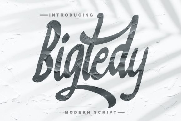 Bigtedy Script: A Charming Handwritten Font for Branding