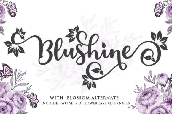 Blushine Script: A Handwritten Font for Elegant Web Design