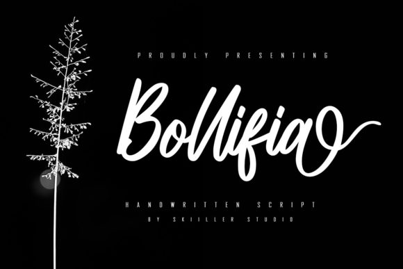 Bollifia Script: A Versatile Choice for Creative Projects