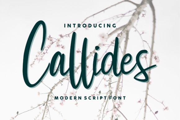 Callides Script: A Luxurious Font for Web Design