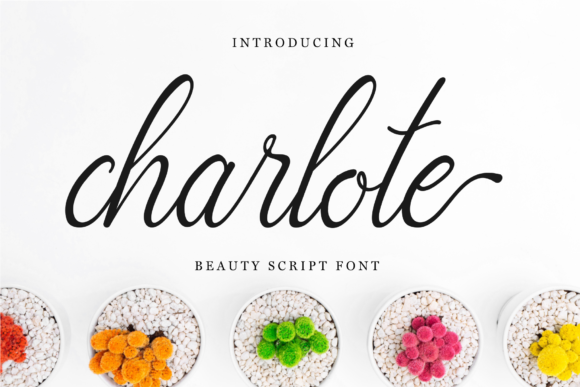 Charlote Script: A Delicate Font for Crafters and Creators