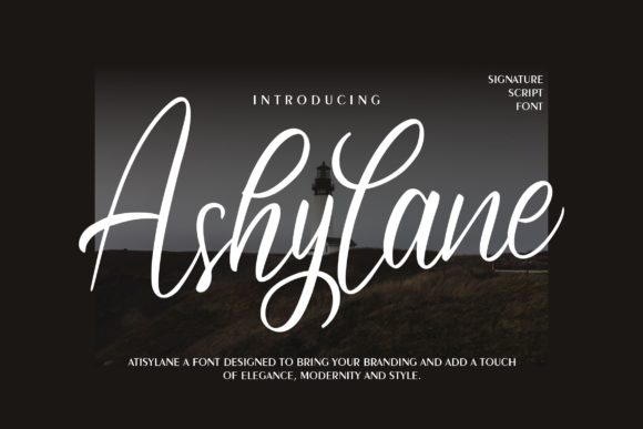 Discovering Ashylane Script: A Charming and Elegant Typeface