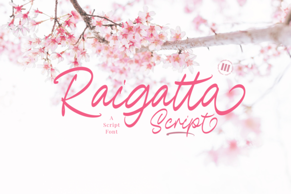 Elevate Your Editorial Design with Raigatta Script