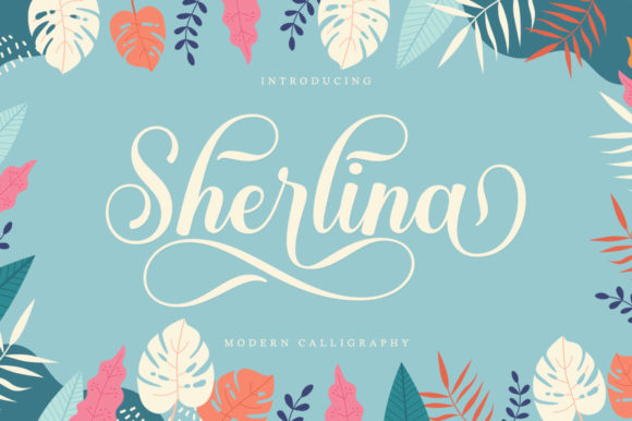 Enhance Your Campaign with Sherlina Script Font