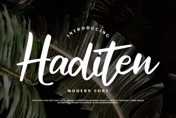 Haditen Script: A Versatile Font for Creative Branding