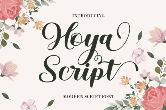 Hoya Script: A Versatile Typeface for Web Design