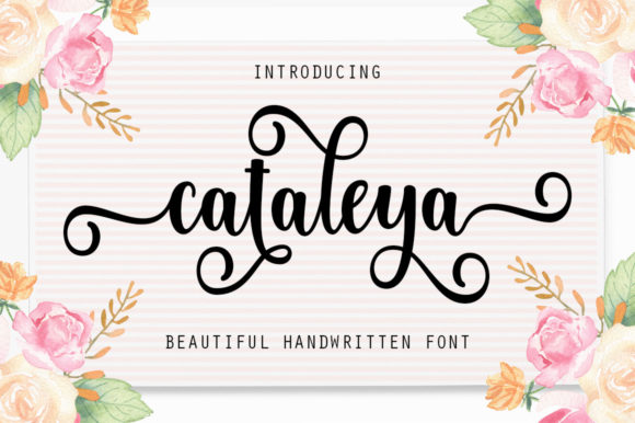Transform Your Brand with Cataleya Script Font
