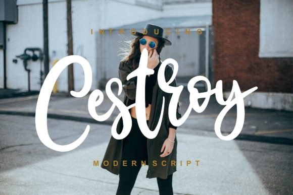Transform Your Brand with Cestroy Script Font