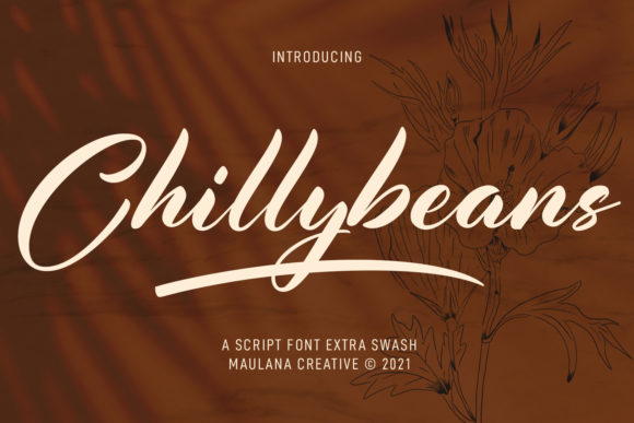 Transform Your Brand with Chillybeans Script Font