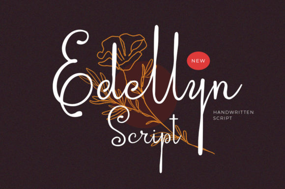 Transform Your Brand with Edellyn Script: A Graceful Typeface